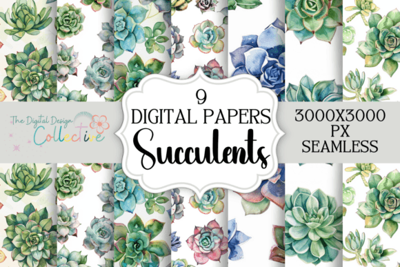 Cacti and Succulents Seamless Patterns